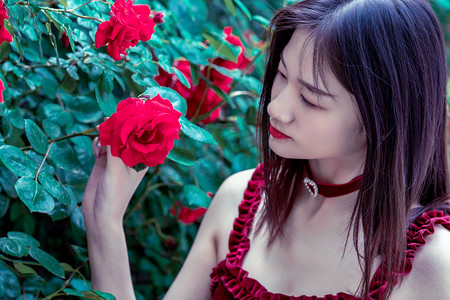 成都创新惠侨服务机制 为侨界“一老一小”筑起“安心巢”